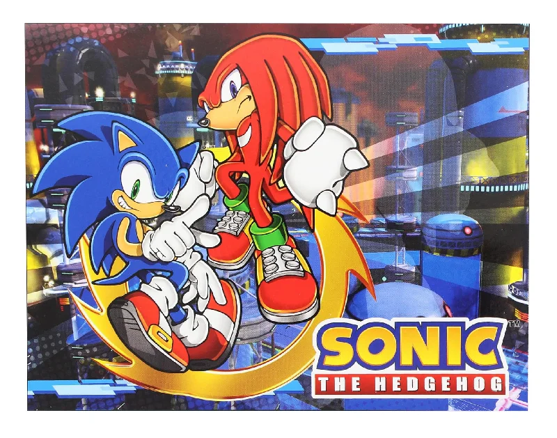 Sonic the Hedgehog Sonic & Knuckles 46x60 Inch Fleece Throw Blanket